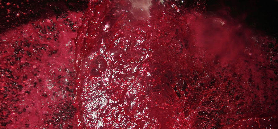 Fermentation
