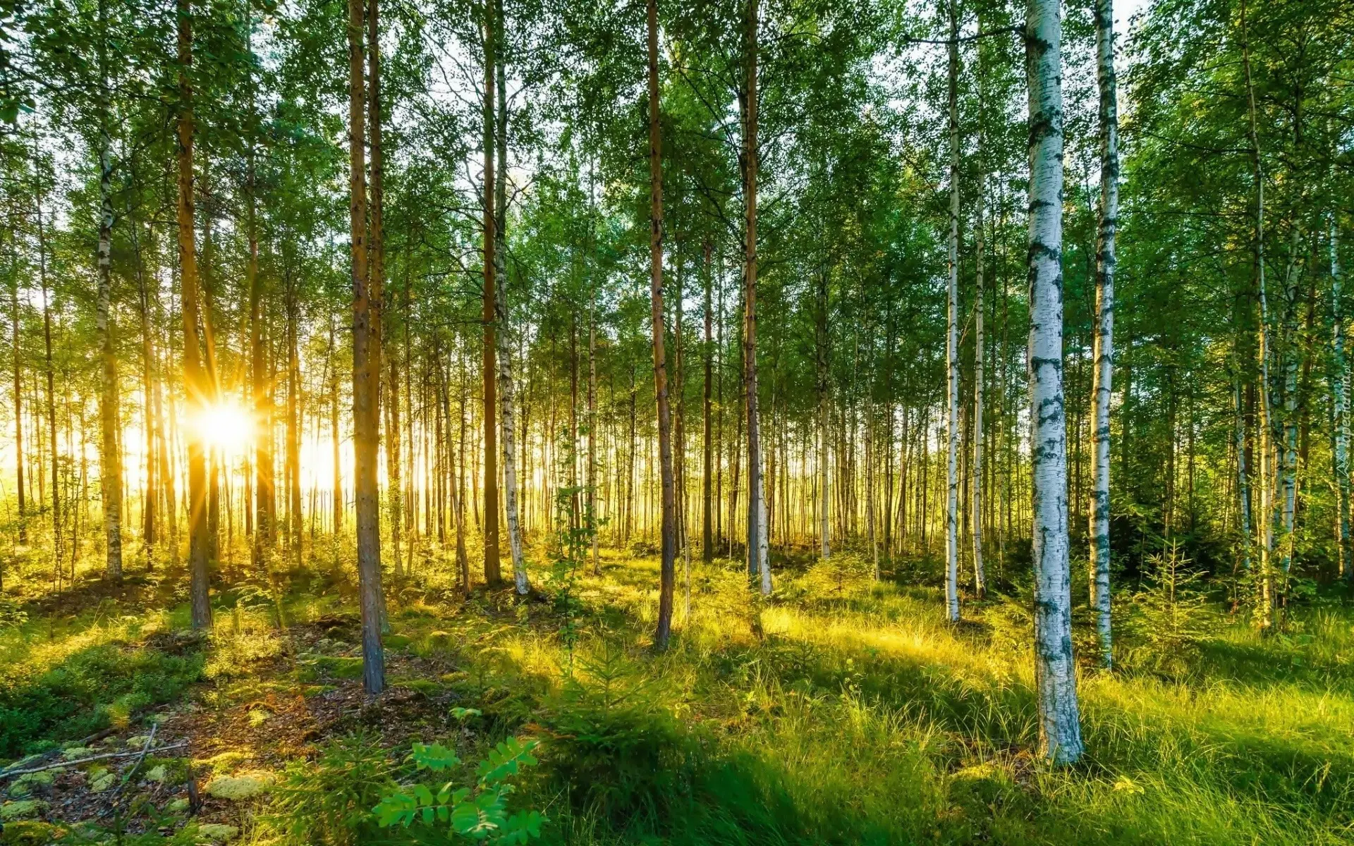 Fraîcheur en attaque et structure en milieu de bouche.