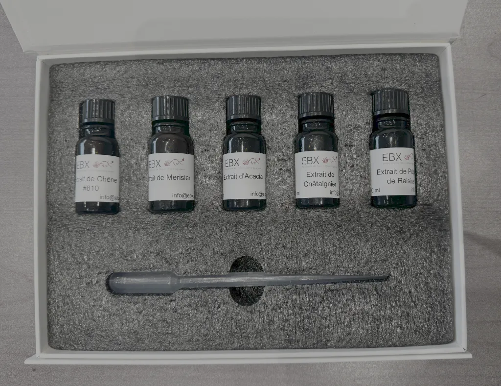 enokit structure.webp